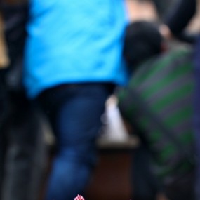 寂寞——3.13被冷落了的