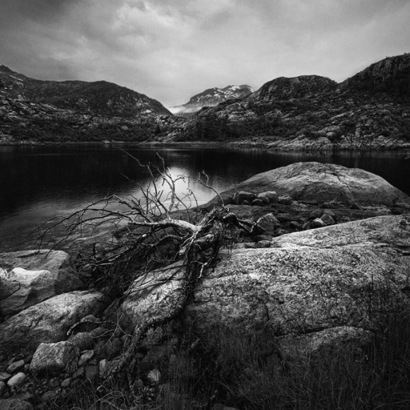 Black white landscape (6)