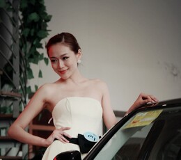 斯柯达昊锐车模