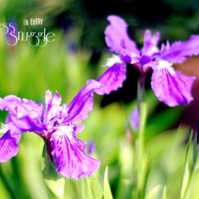 印象色彩~~~~~~~~~~~~~~~~~~~~~~~~~~~