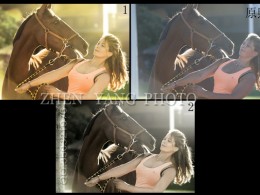 ★ 求各位摄友点评★