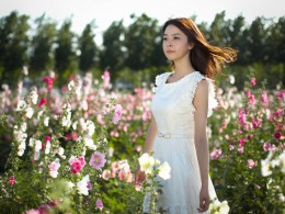 世园花海（一）