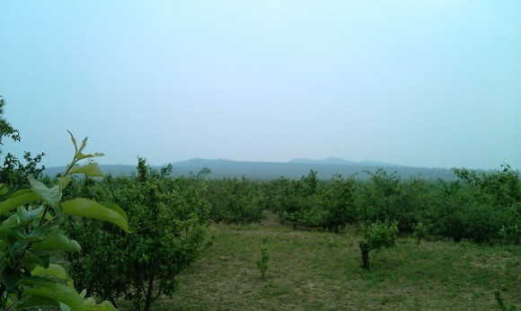 相机不在身边，用手机（HTCg12）拍的