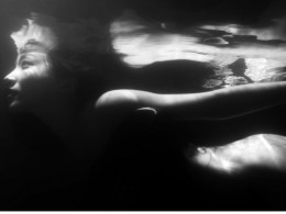 安东--寻爱之河