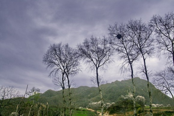 朋友，你上过翠薇山吗？