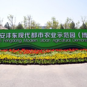 【酒醉花海】美女耀眼沣东农博园