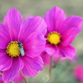 新手请前辈们多多指点，让我更快的成长。