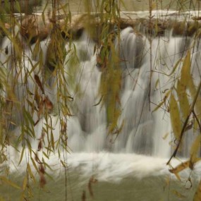 12-4大唐芙蓉园外拍水和湖（二）