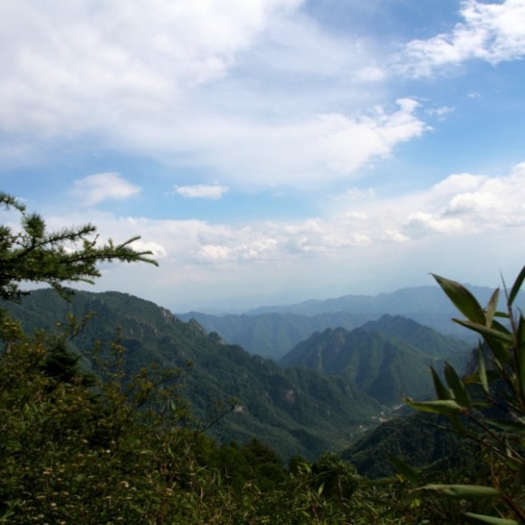 横看成岭侧成峰《六》