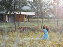 ~~~夏日～黄花~~~