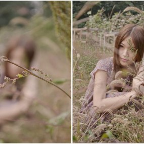 画中人--洒金桥