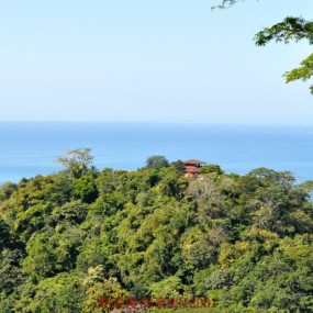 哥斯达黎加森林公园