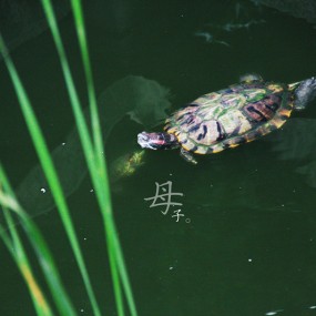 镜子乱拍 & 下江南（二）~