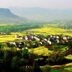 欧陆风格的田园风光