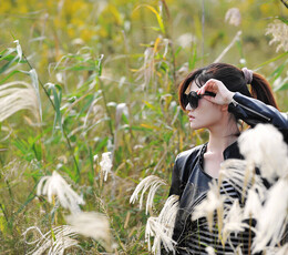 芦苇和女人的故事