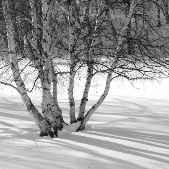 坝上冬日（四）