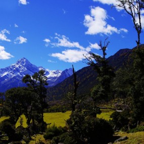 转载：广州文艺--2012年第1期-贡嘎读本 嘎玛丹增