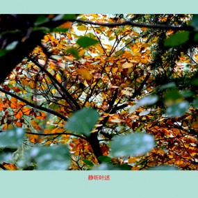 【小品】  静听叶述.....