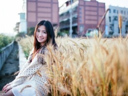 光感。麥田。少女