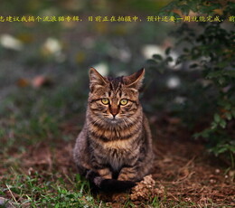 下午街拍，越拍胆越肥。