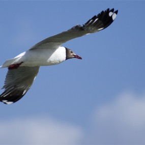 柴达木盆地克鲁克湖