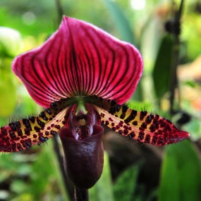 上海辰山植物园