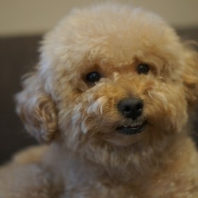 晒晒我们家的“钱多多”