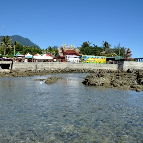 【在臺灣和海鱼親近】