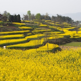 {汉中印象}第一次拍风景，请指正。