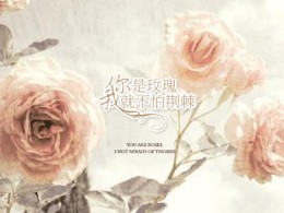 倘若你是玫瑰，我就不怕荆棘---【品摄影】静态电影