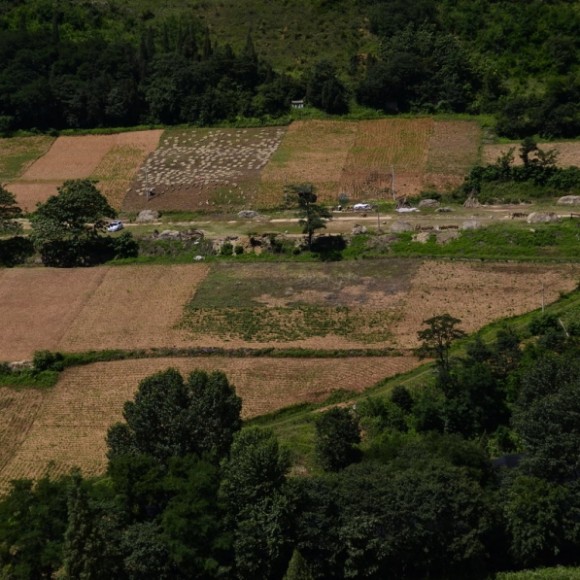 走进  蓝田鲍旗寨