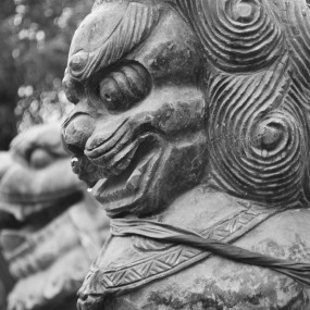 找回古老的小镇