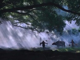 下涯奇雾·瓯江帆影·霞浦滩涂·惠安女·仙都