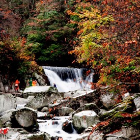 寒秋时节霜叶红