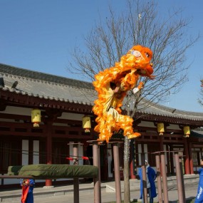 周六大唐芙蓉园