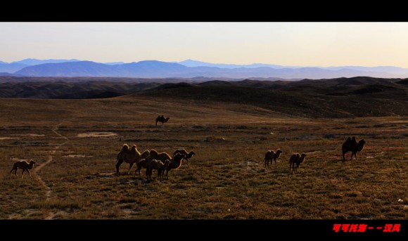 可可托海的那些风光