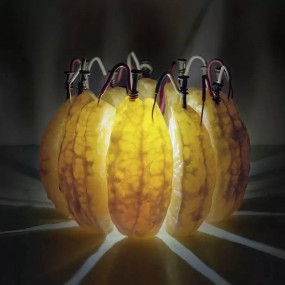 当水果们化身灯光能源