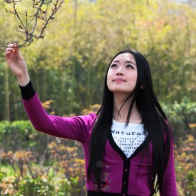 青龙寺作业-正午阳光