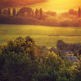 Sergiy Trofimov：如画风光