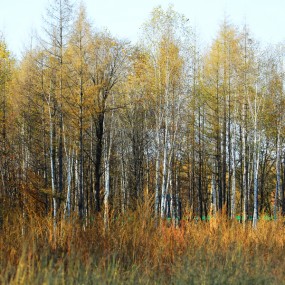 十一长假第三天