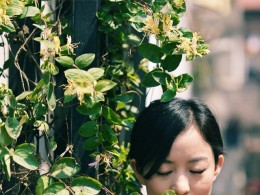 漫步五月昙华林