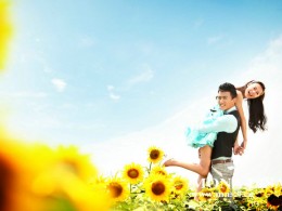 【西安蒙娜丽莎】——万亩金葵园火热抢拍中...