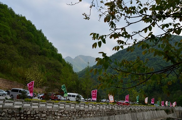 游牛背梁篸林公园一组风景片练习。万像更新2012.4.30