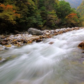 【秦岭·黑河印象……】