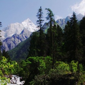 2011年7月22日游览美丽迷人的四姑娘山——美景随拍