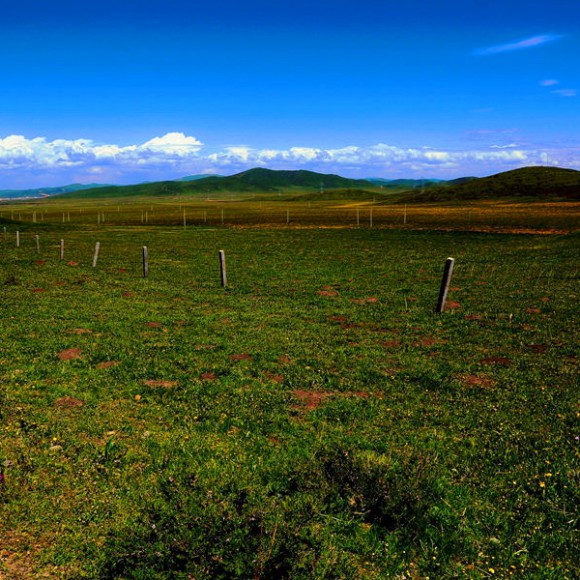 风起藏羌云怒卷,光临阔野画屏开