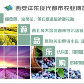 沣东农博园摄影比赛方式