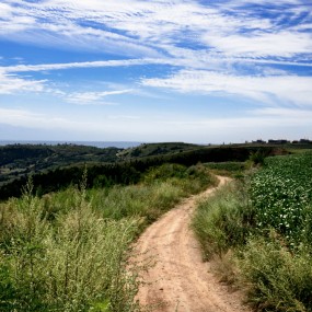 秦岭山麓的秋天