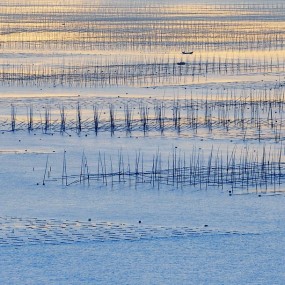 福建霞浦 滩涂