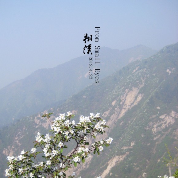 来自小小卡片机中的清静世界